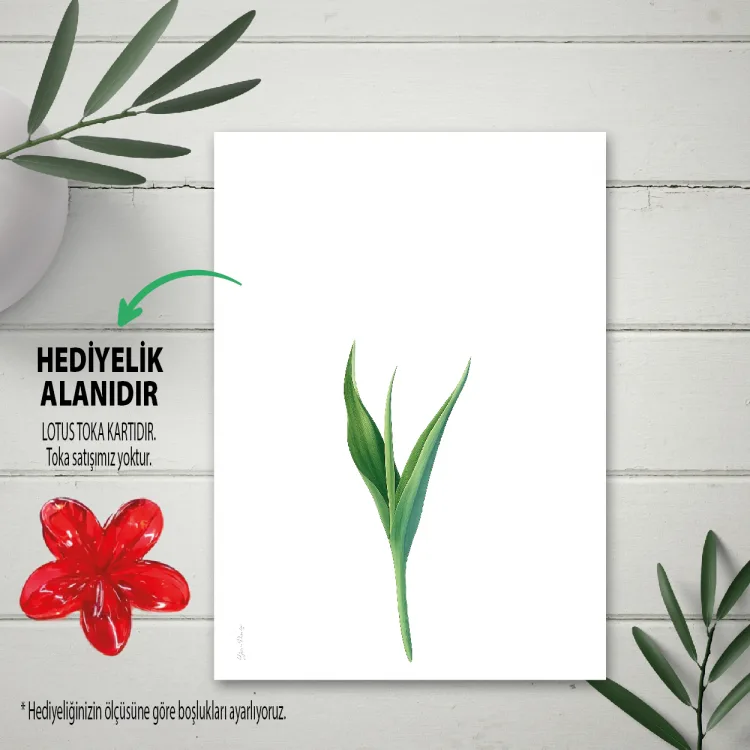 Hediyelik Kartı 0265 - Lotus Toka Hediyelik Kartı - Detay Görseli 1