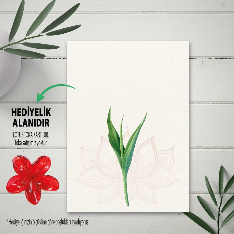 Hediyelik Kartı 0267 - Lotus Toka Hediyelik Kartı - Detay Görseli 1